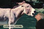 Mel & Donkey
